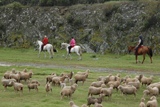 Spain-Central Spain-Extremadura Ride to Guadalupe